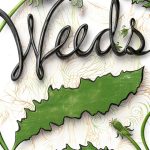 Gardening & Horticulture Lawns eBook by HarperCollins e-books-0