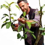 Gardening Lawns Made Easy: A Comprehensive Guide by Kyle Books-0
